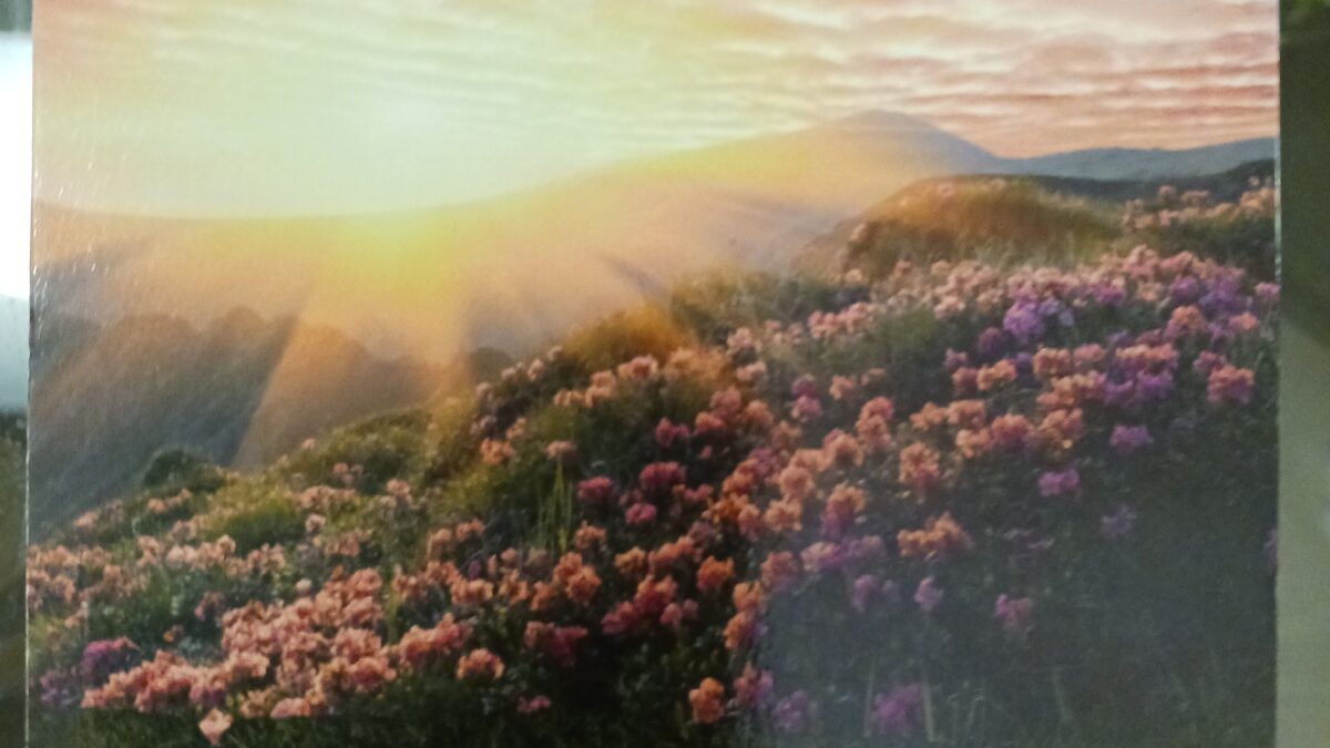 深くゆるみ、整うための時間