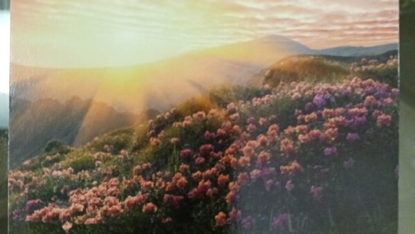 胃の上部の不調が続いて１年半。｜港区南麻布