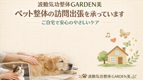 ペット整体の訪問出張を承っています｜ご自宅で安心のやさしいケア